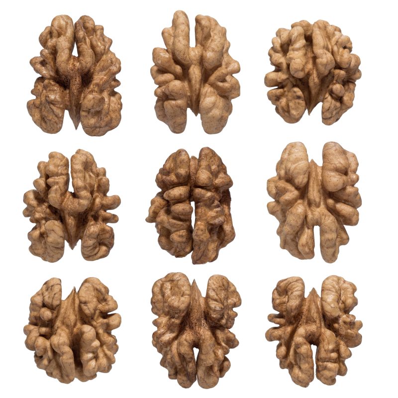 Halves Walnut Kernels